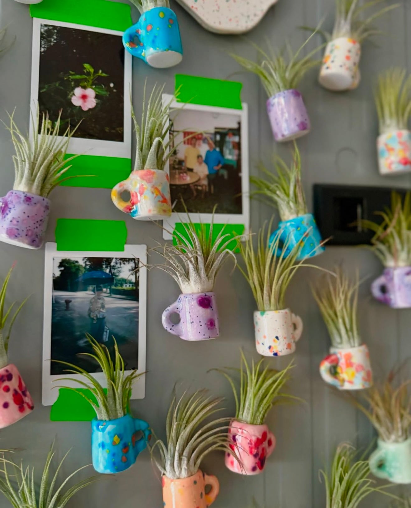 air plant magnet holder Mini Magnetic Air Plant Mug – Berry Basket Boutique