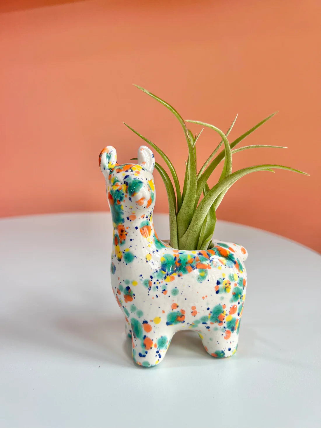 llama succulent Air Plant Llama Friend