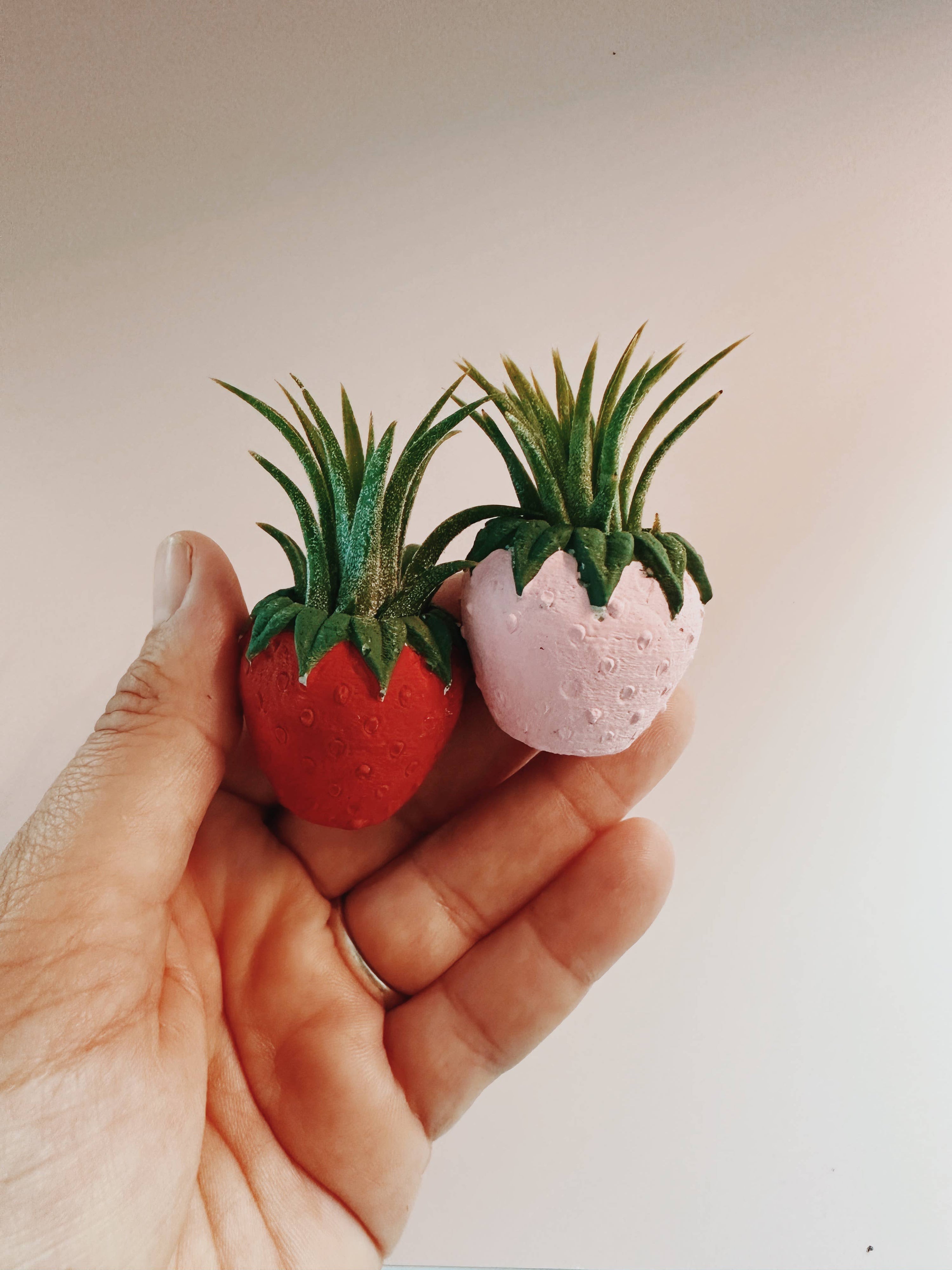 Pink Strawberry Patch Mini Planter and Air Plant