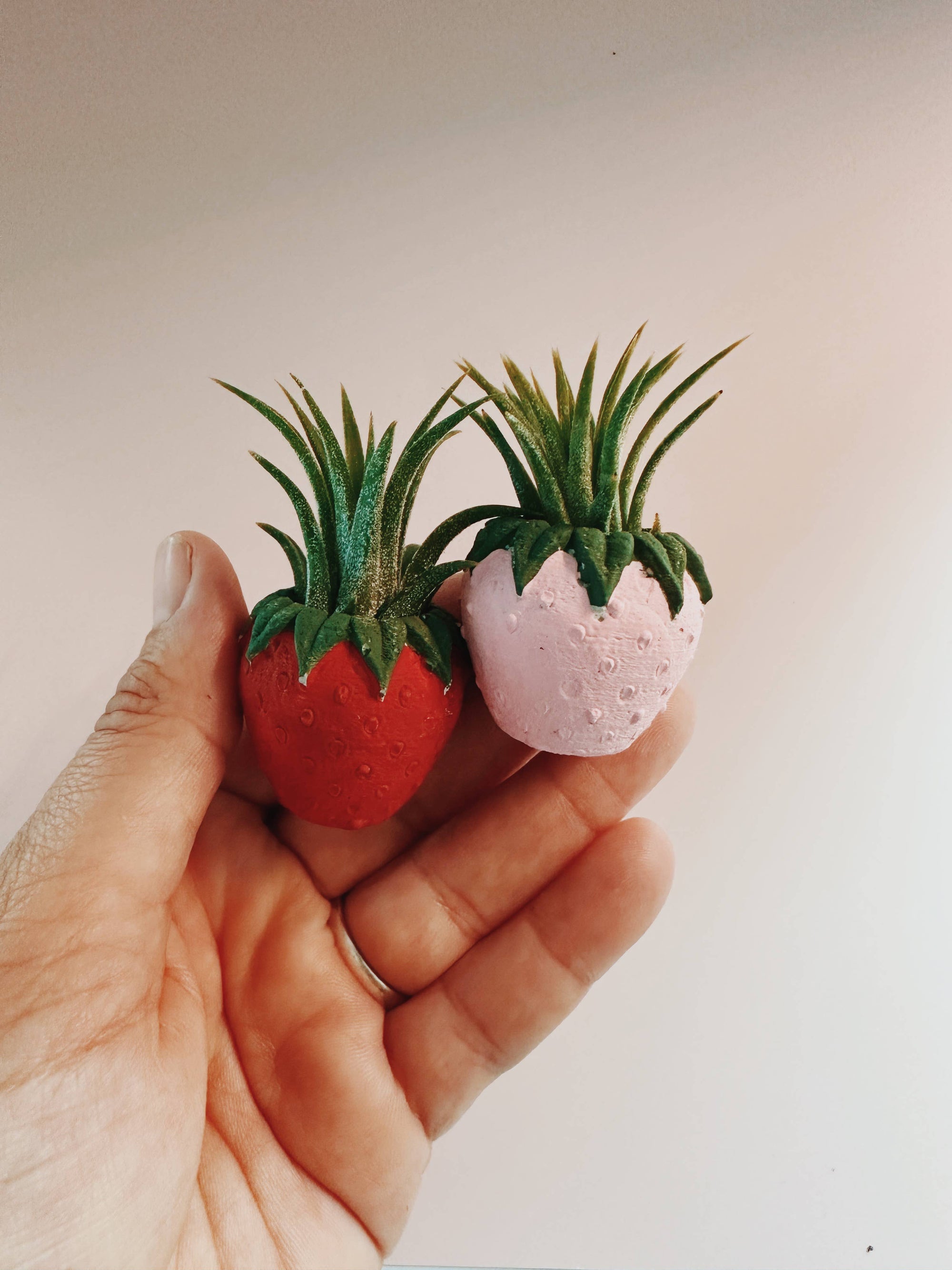 Red Strawberry Patch Mini Planter and Air Plant