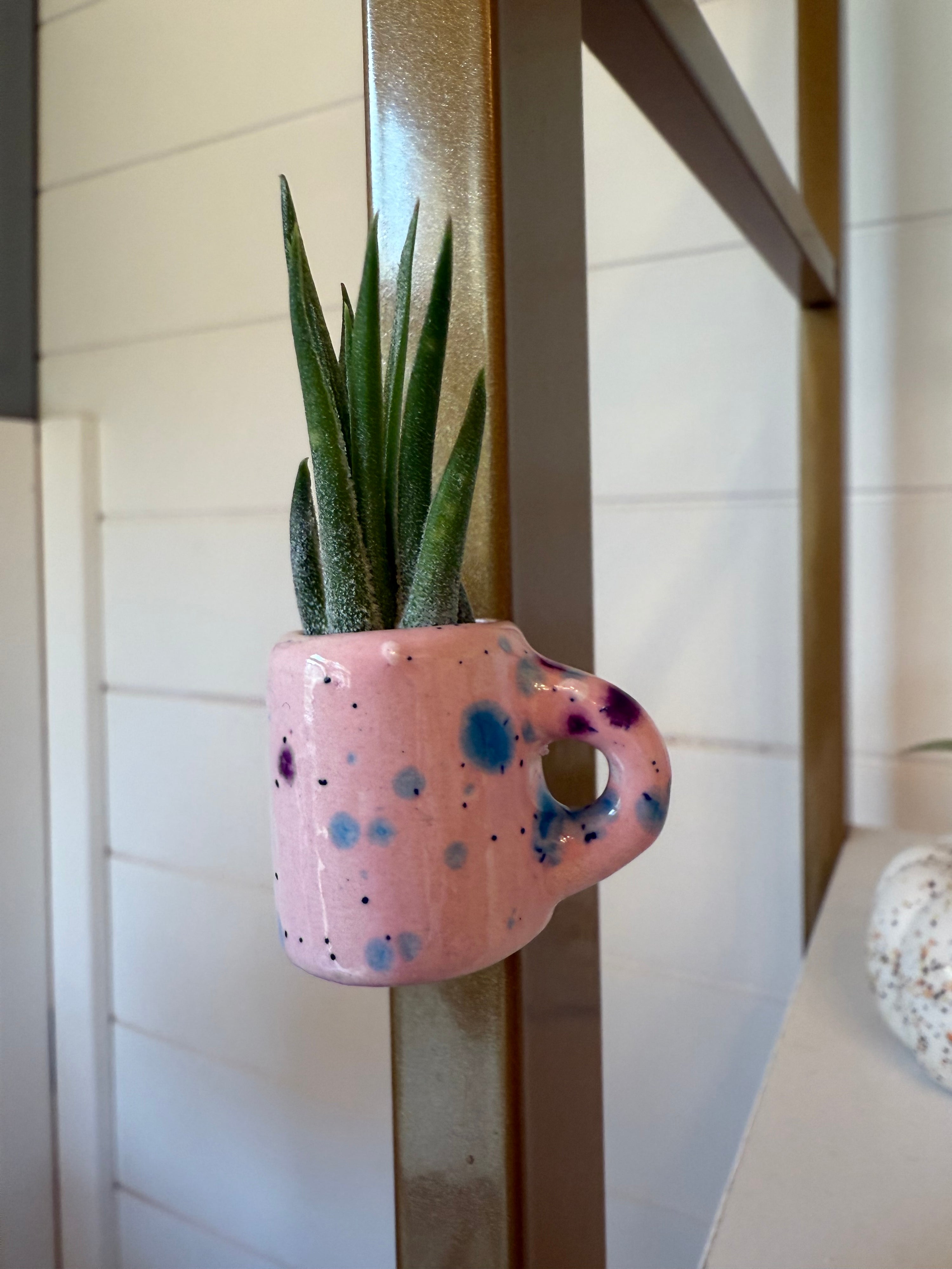 Mini Magnetic Air Plant Mug
