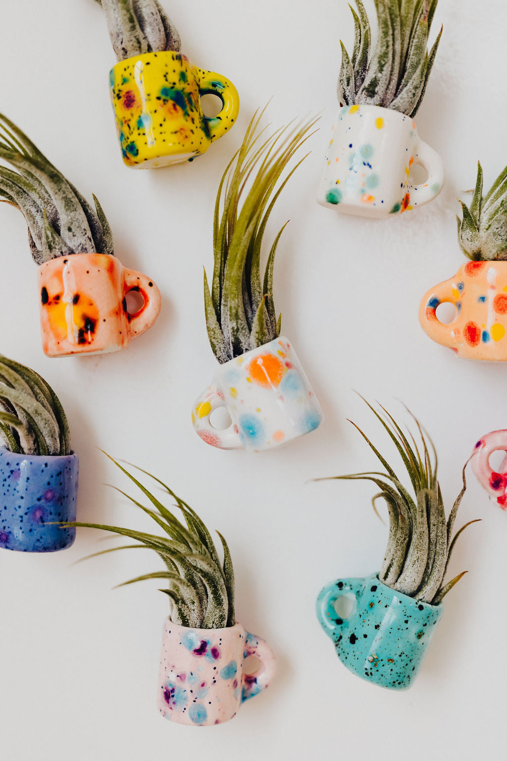 Mini Magnetic Air Plant Mug