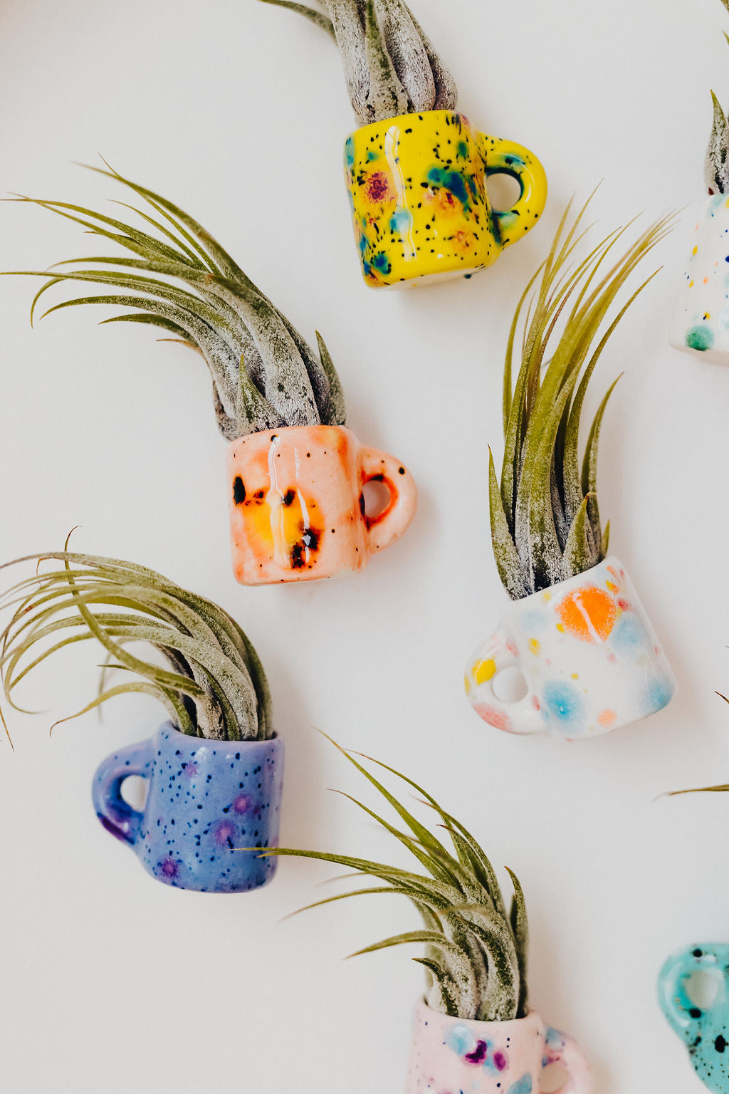 Mini Magnetic Air Plant Mug