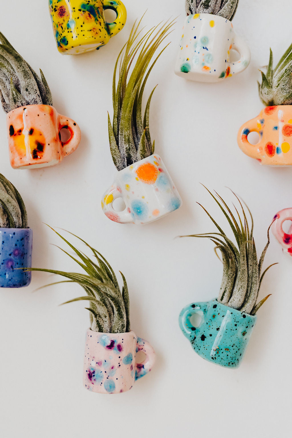 air plant magnet holder Mini Magnetic Air Plant Mug