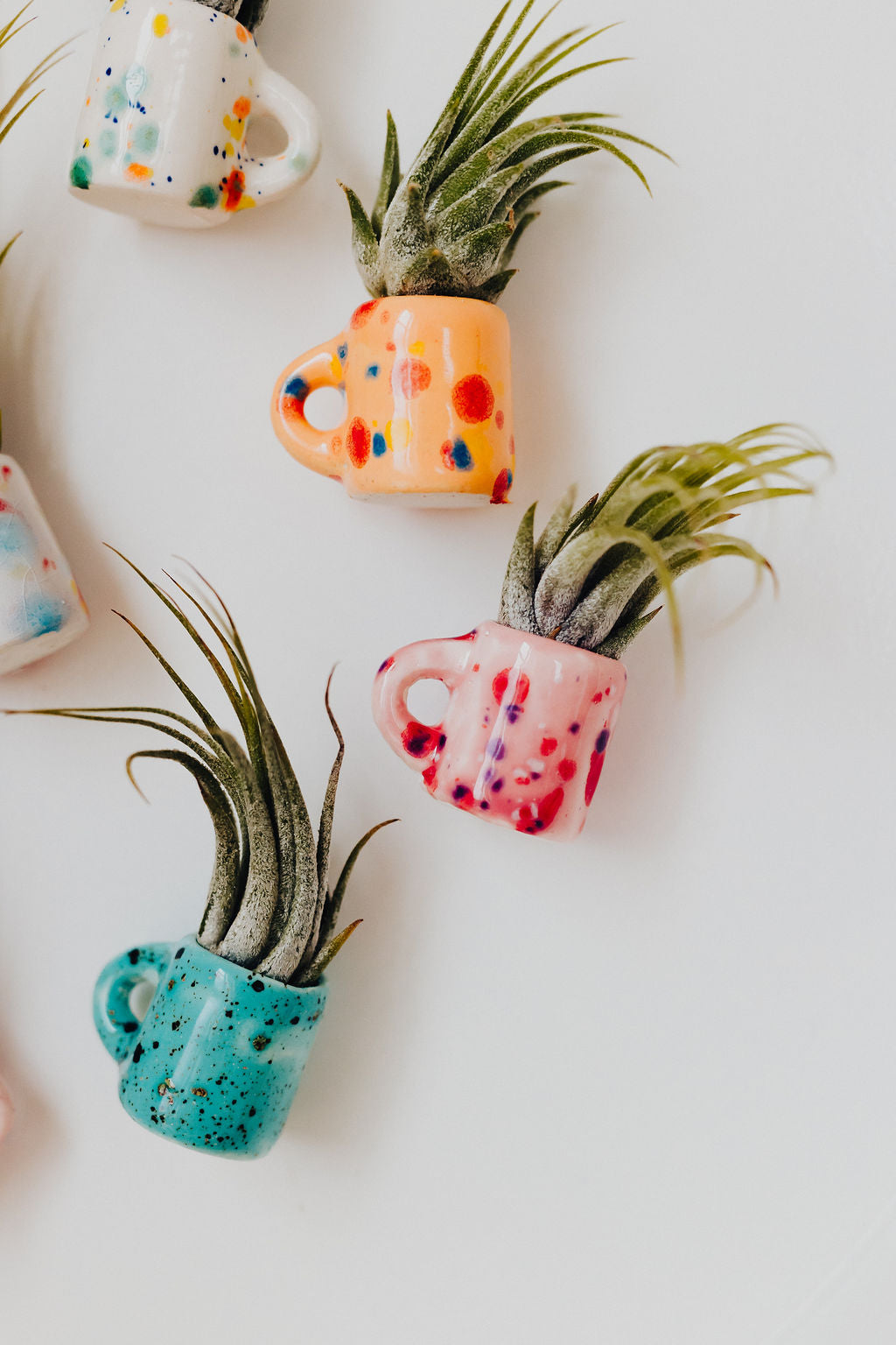 pineapple air plant magnet Mini Magnetic Air Plant Mug