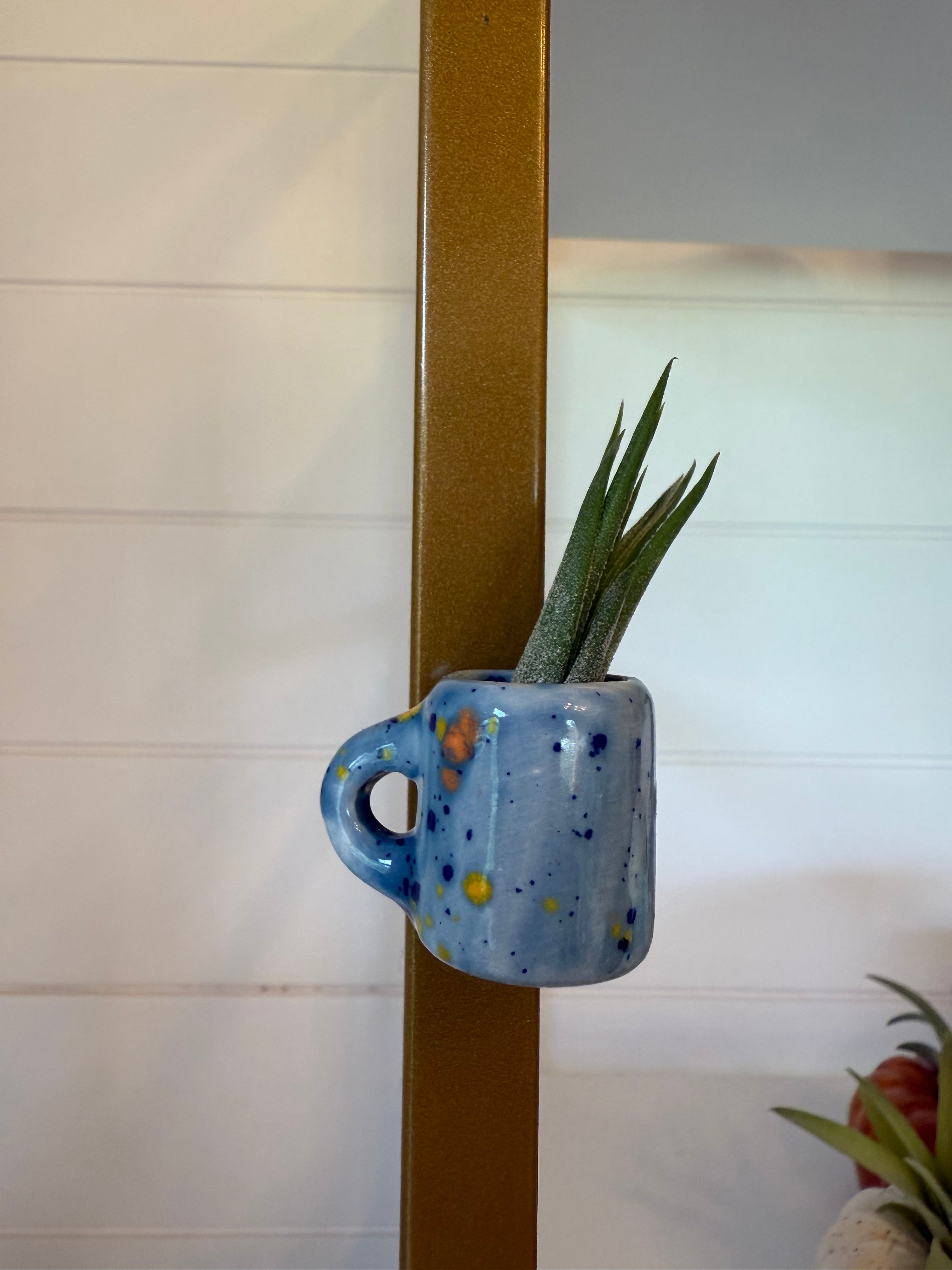 Mini Magnetic Air Plant Mug
