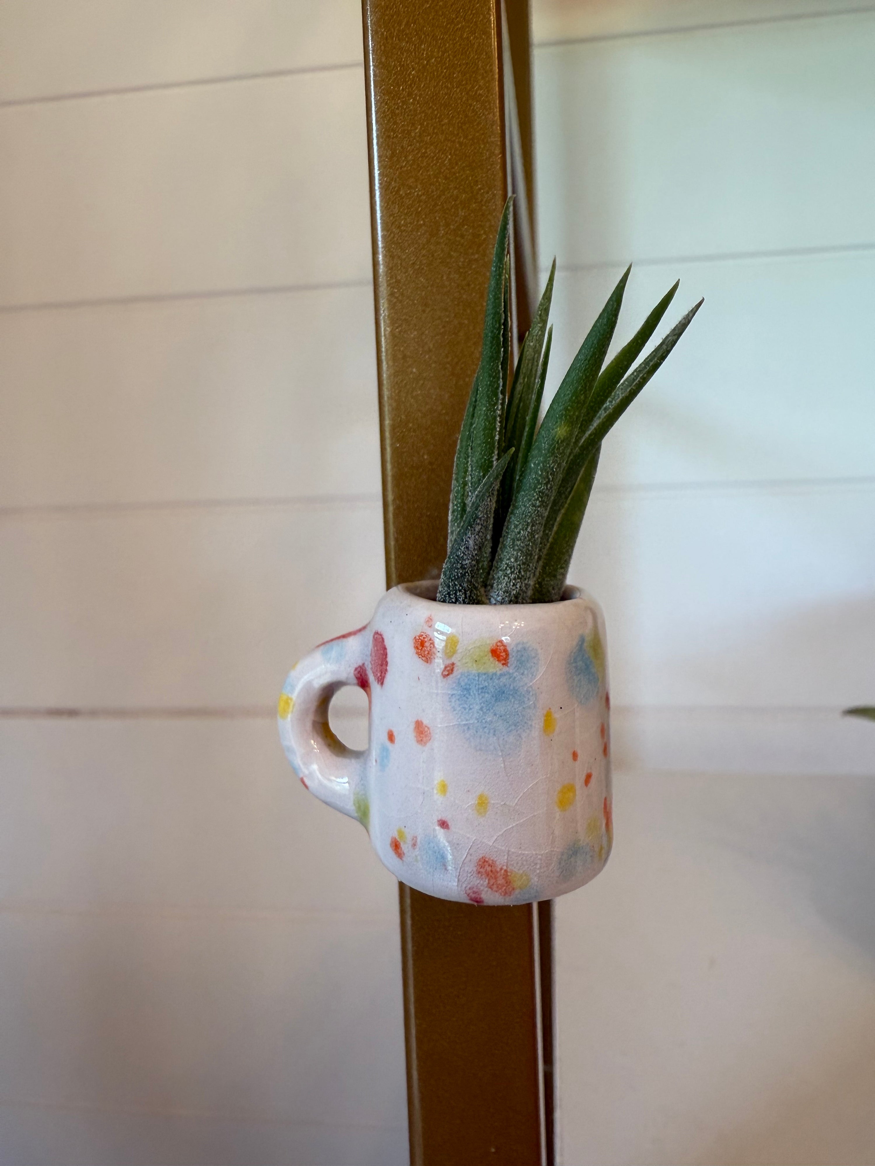 Mini Magnetic Air Plant Mug