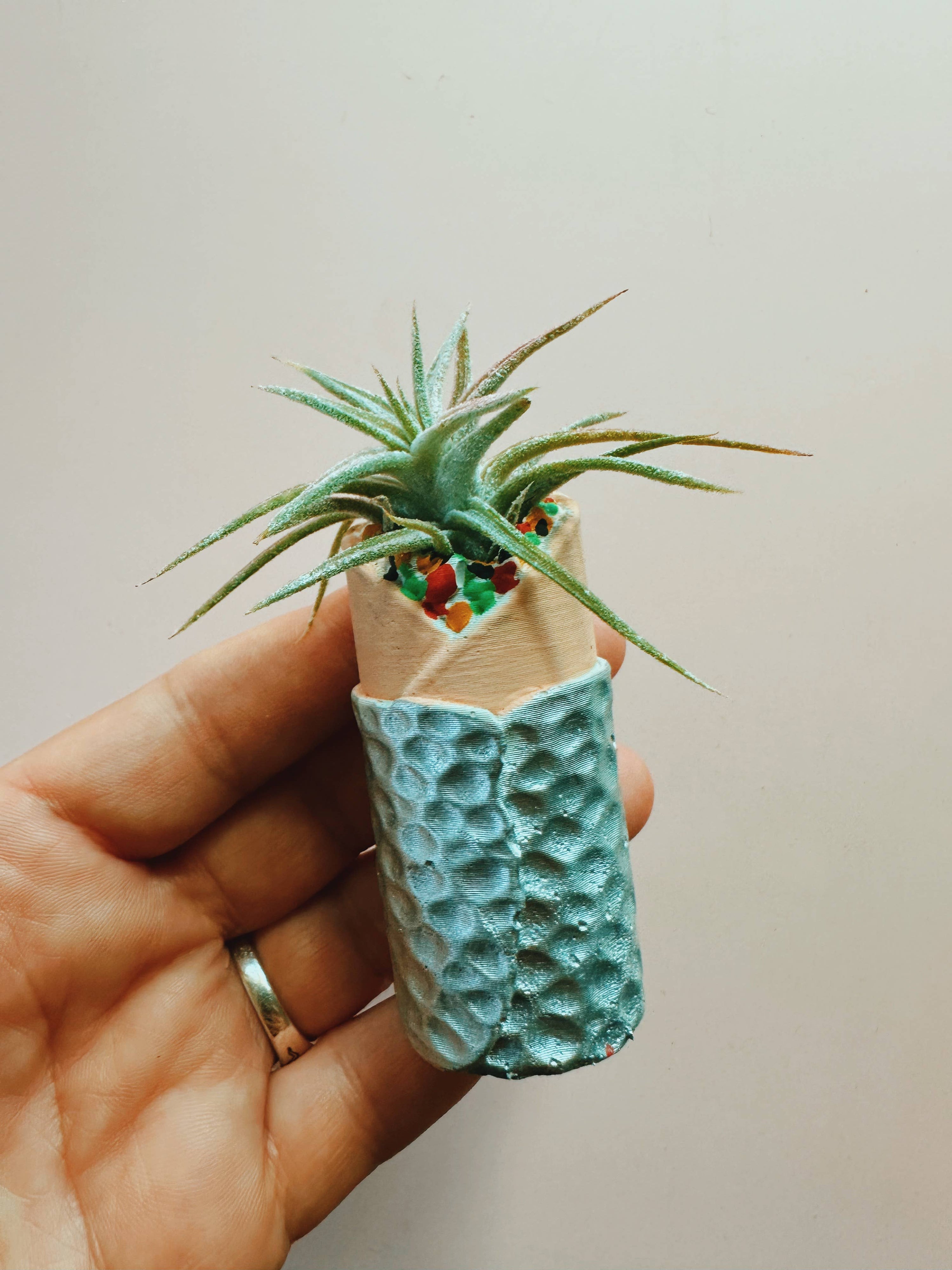 Burrito Mini Planter with Air Plant
