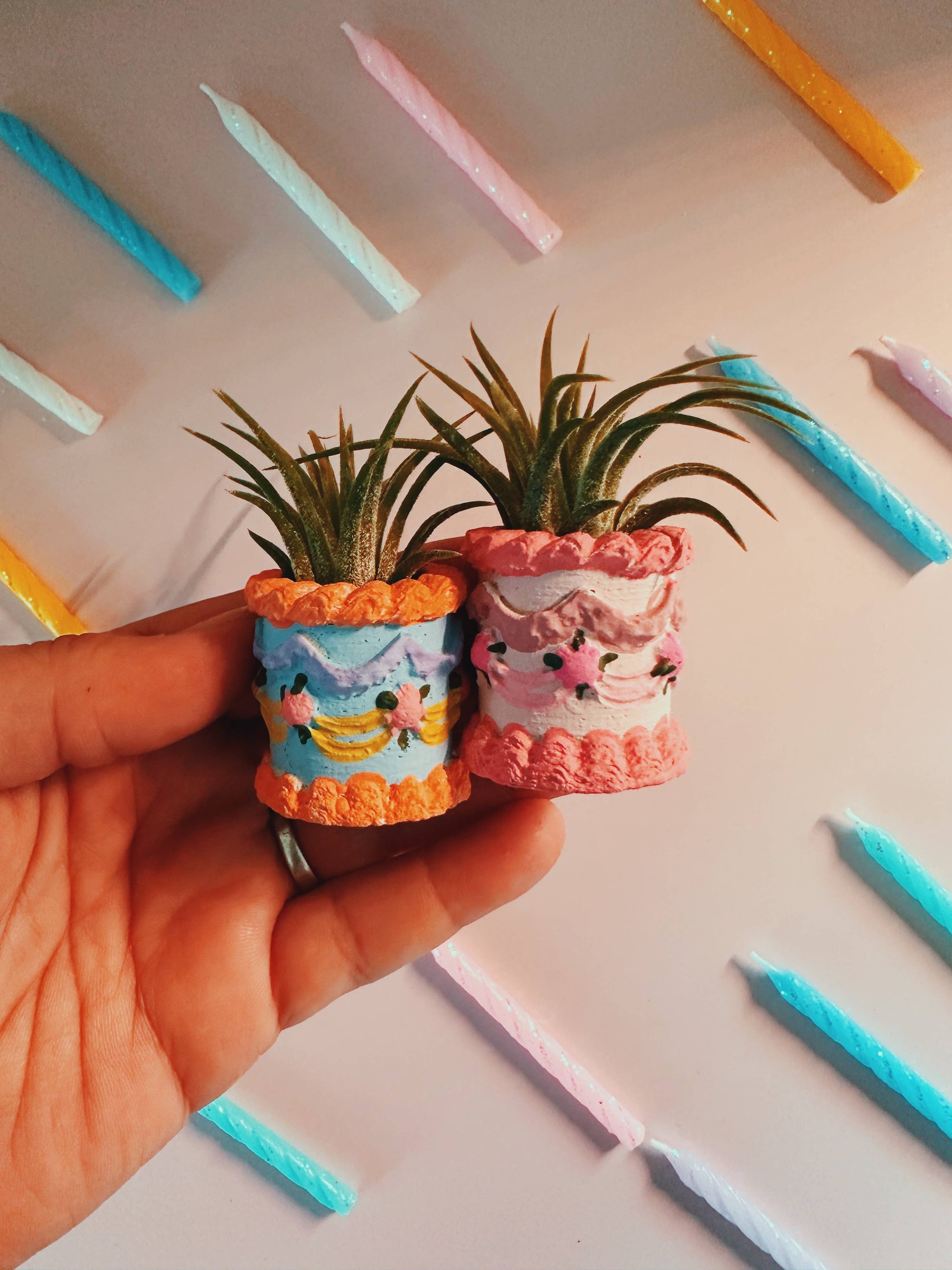 Pink Birthday Cake Mini Planter and Air Plant