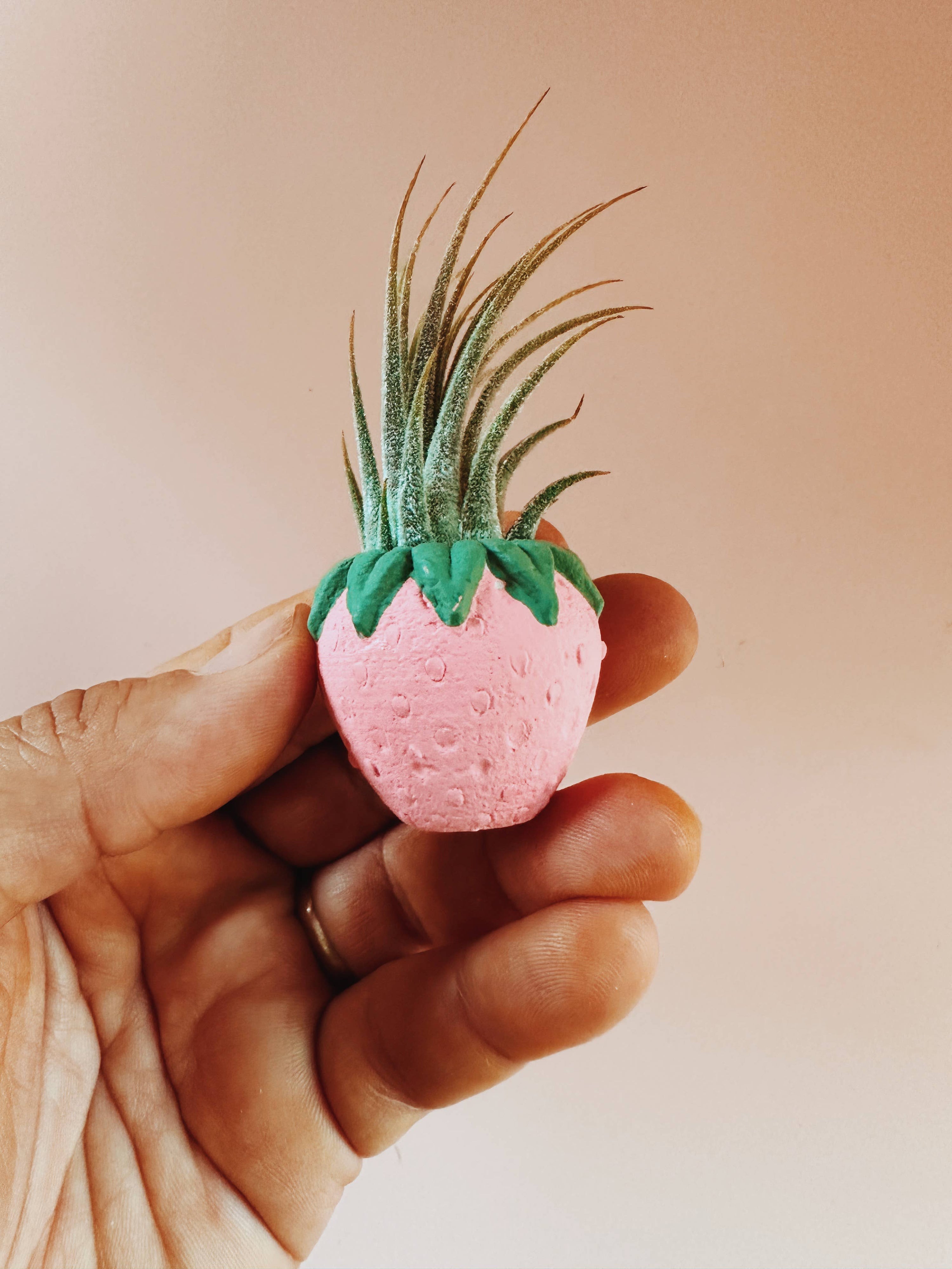 Pink Strawberry Patch Mini Planter and Air Plant
