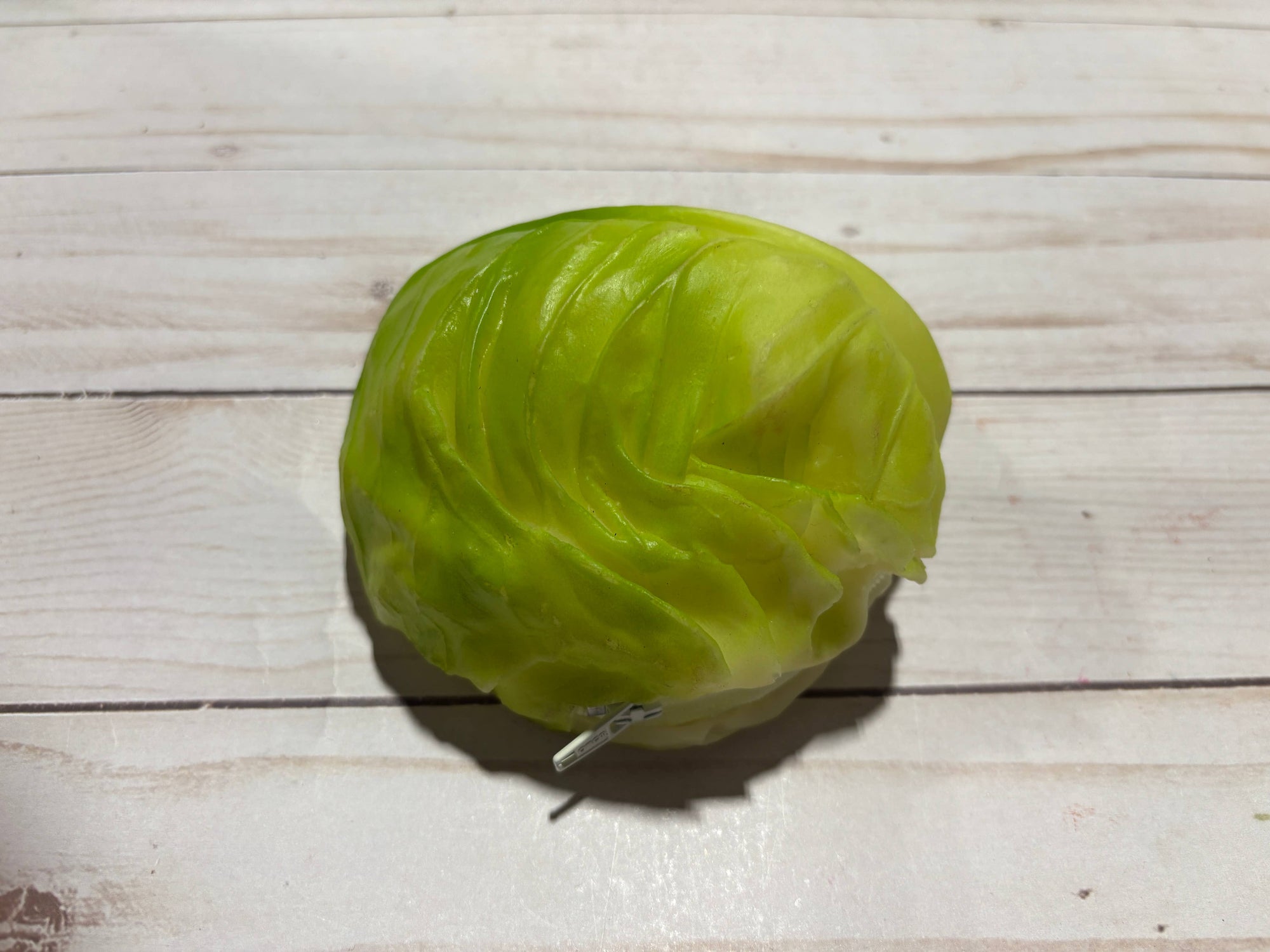 One Gag Gift Coin Purse Cabbage