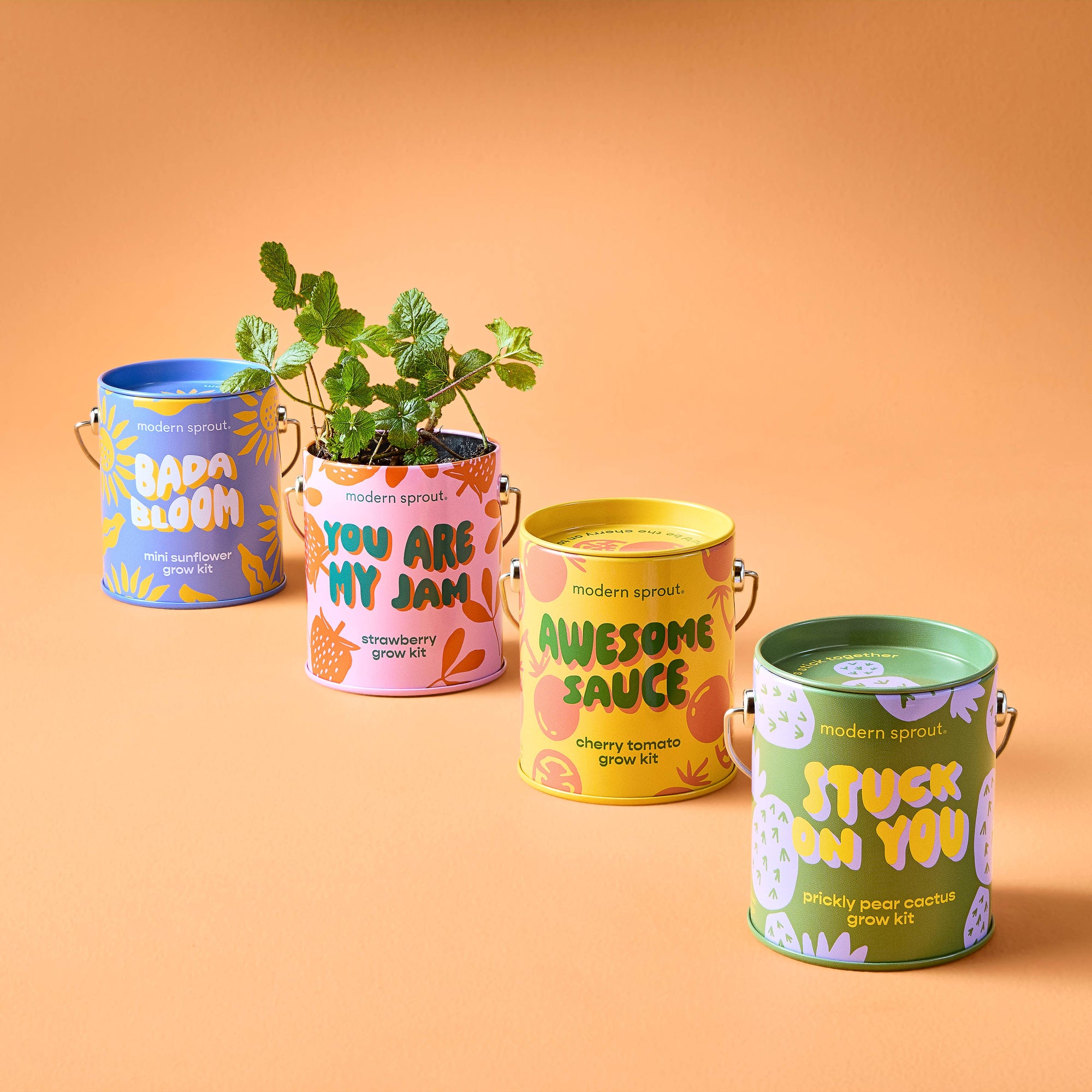 Strawberry Color Grow Kits
