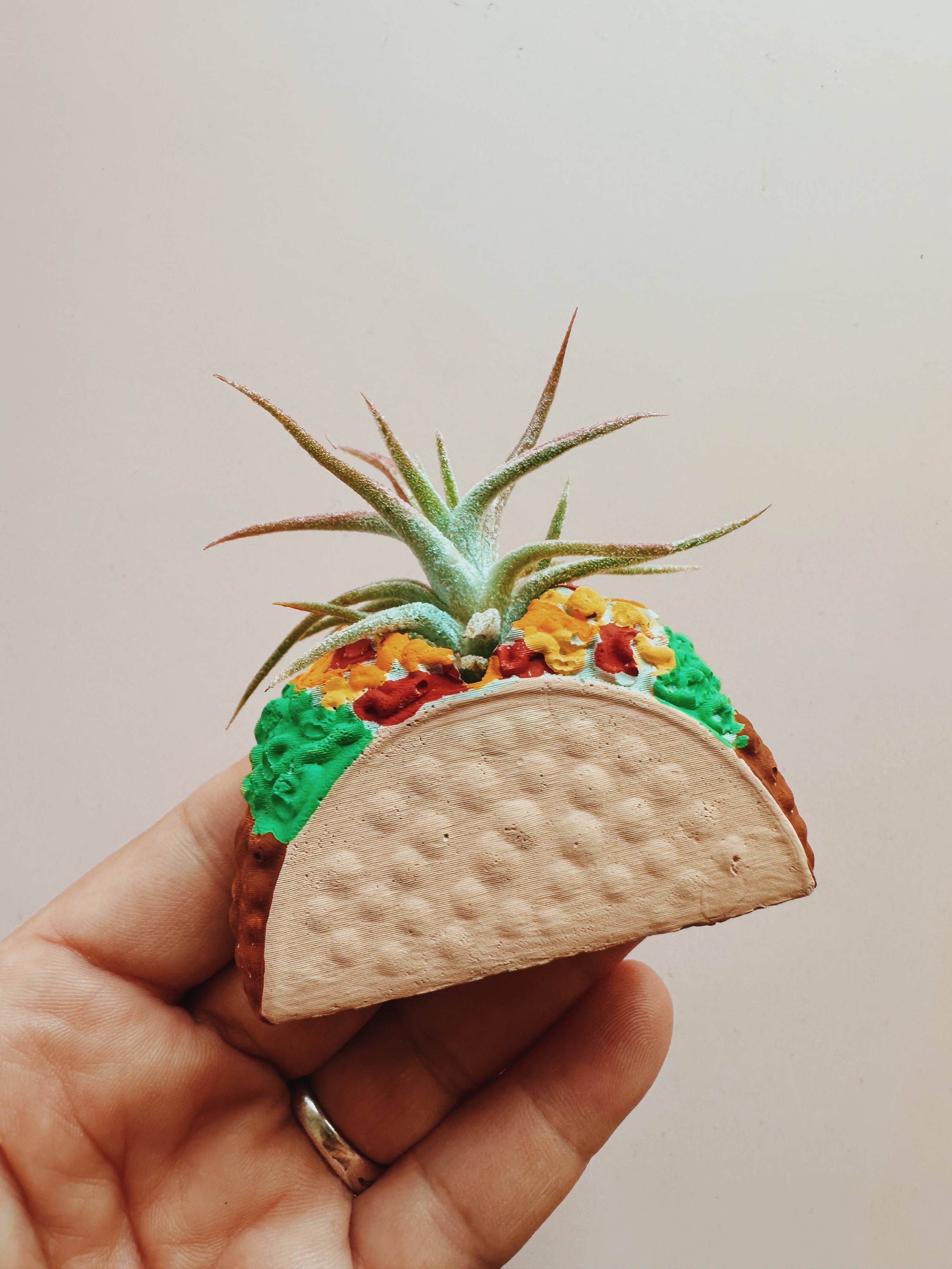 Taco Mini Planter with Air Plant