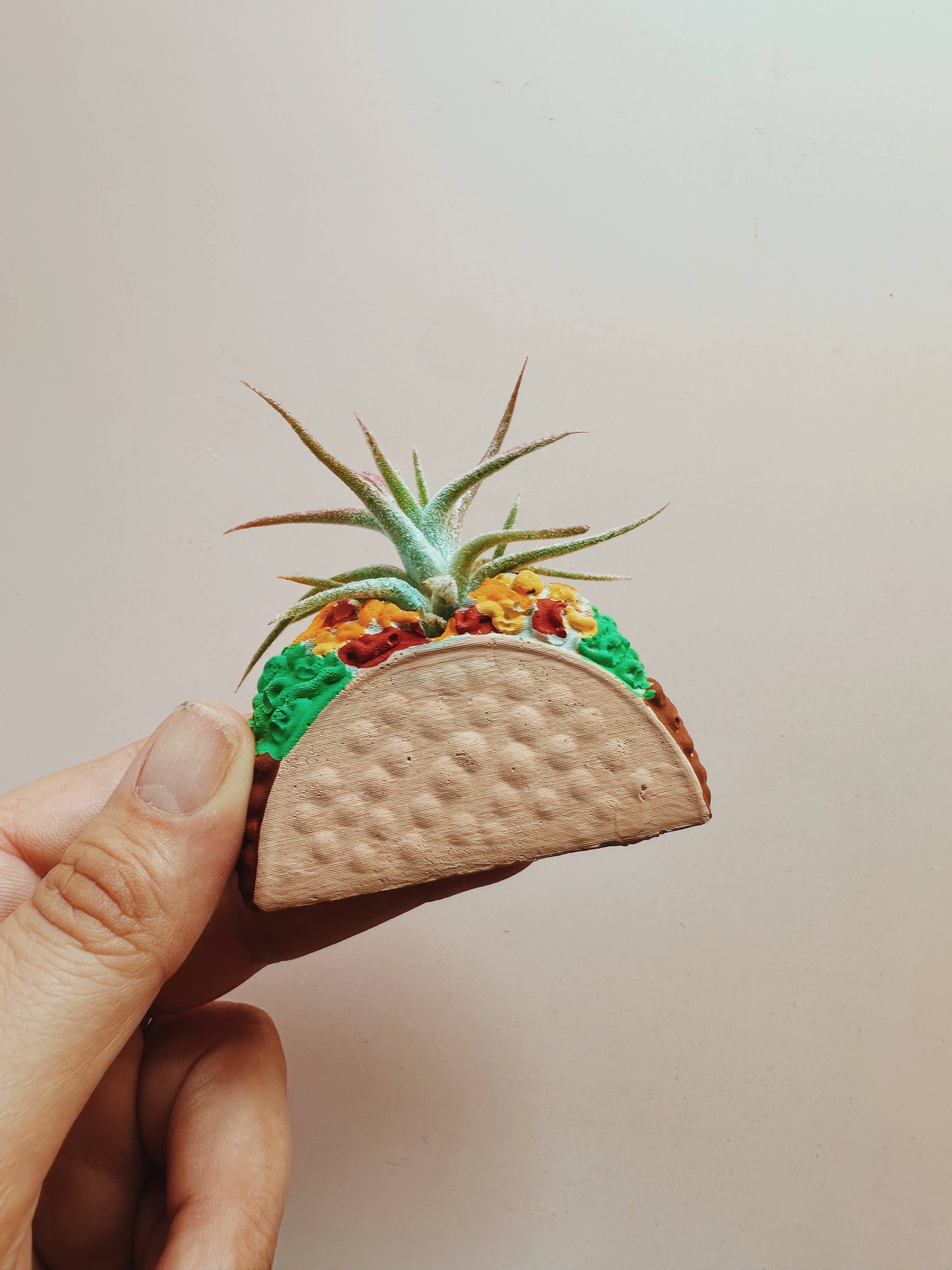 Taco Mini Planter with Air Plant
