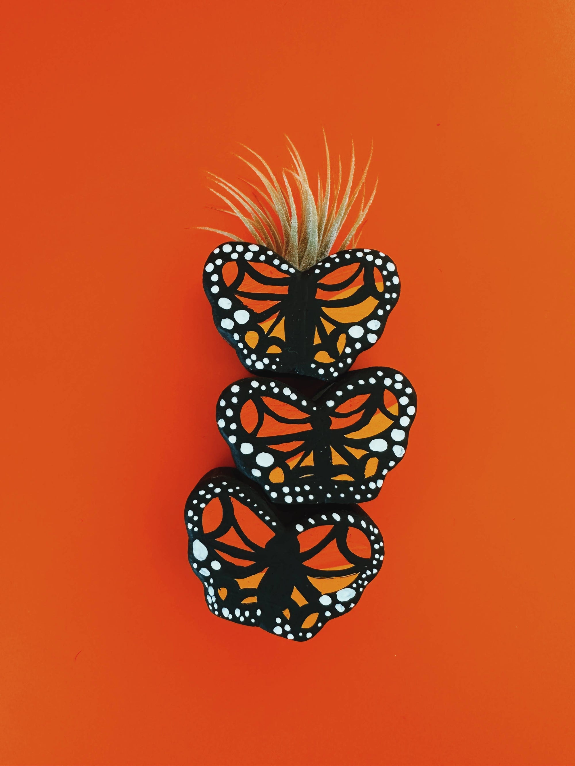 Monarch Butterfly Mini Planter with Air Plant