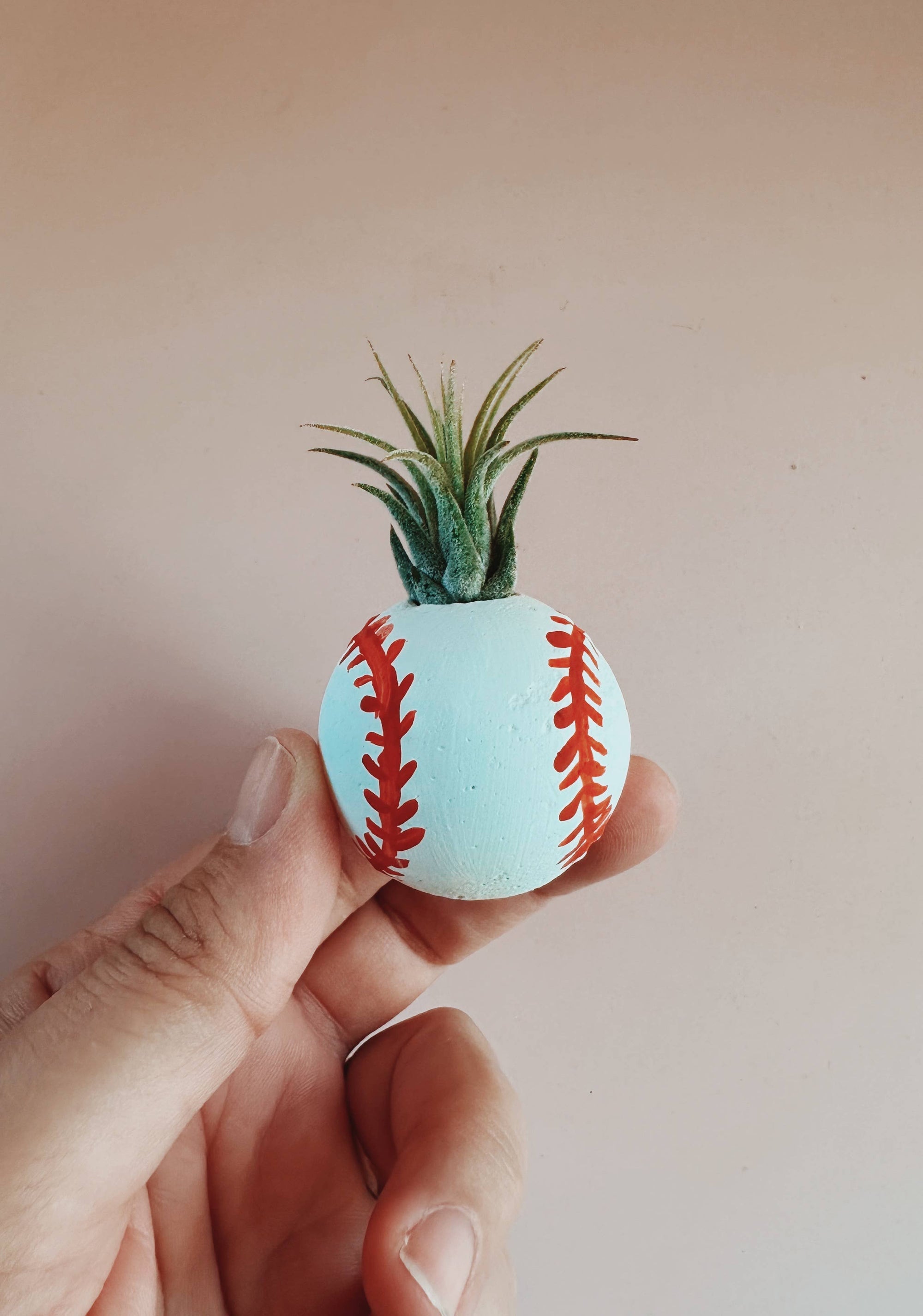 Baseball Mini Planter with Air Plant