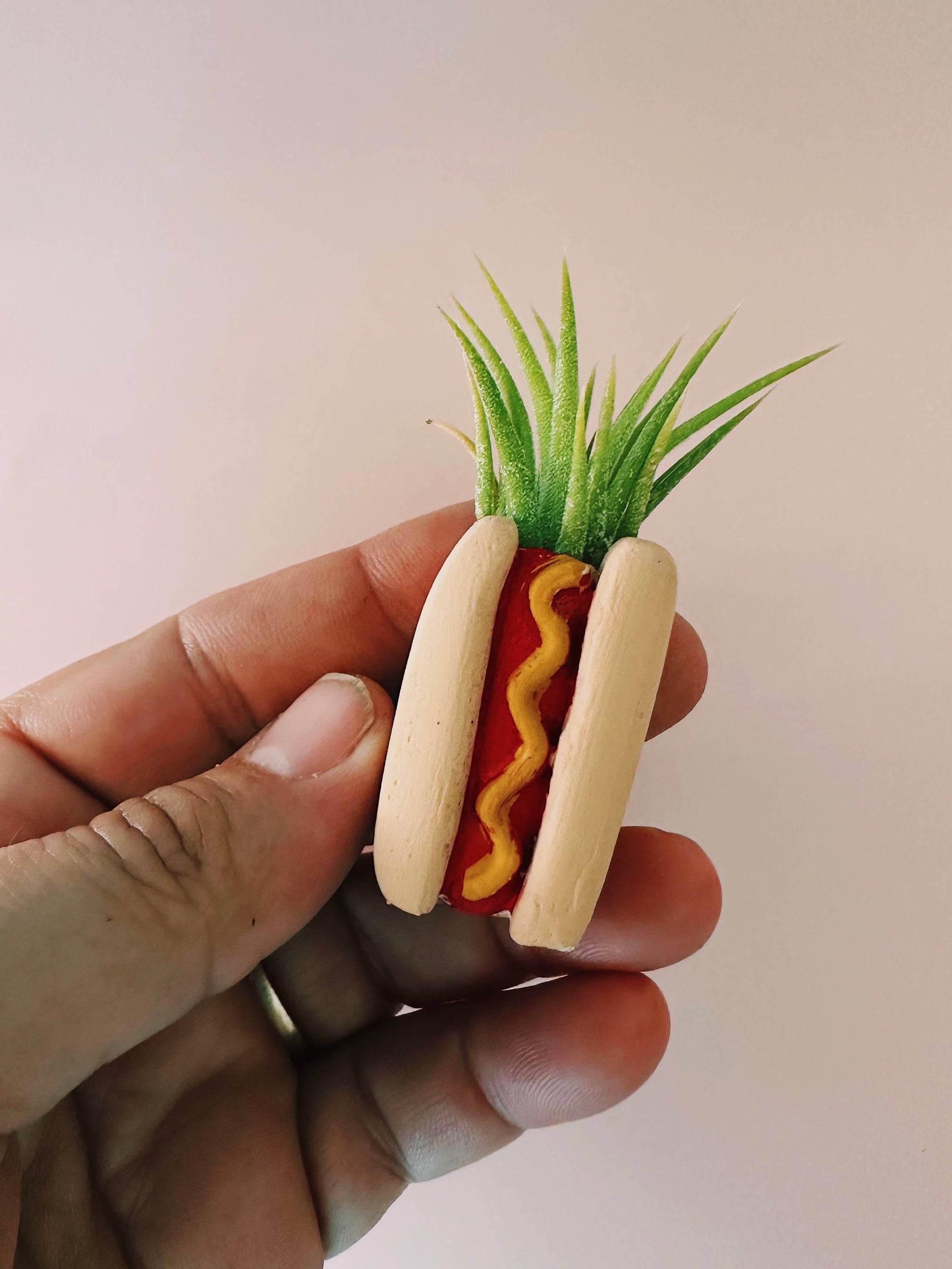 Hotdog Mini Planter and Plant