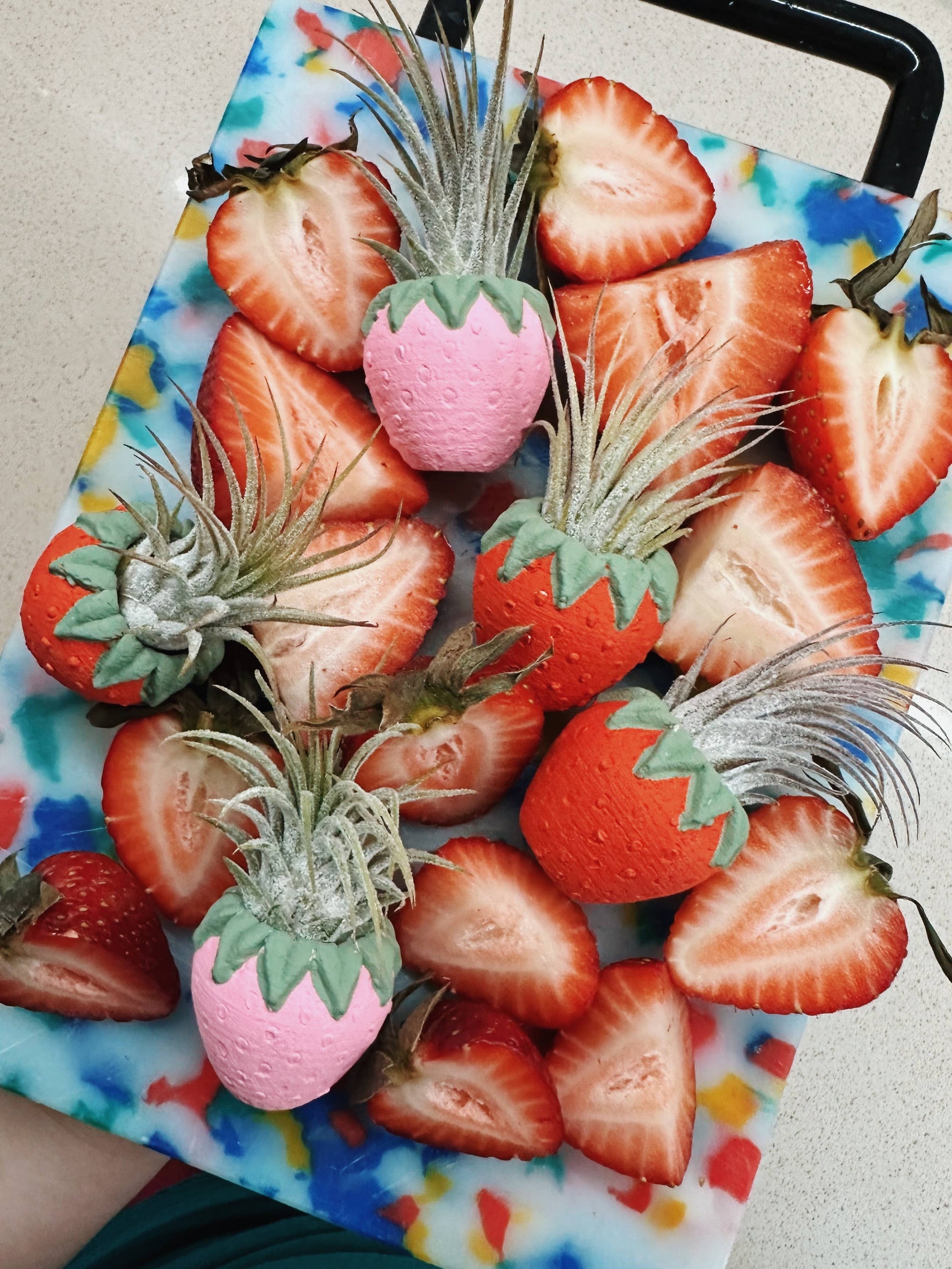 Pink Strawberry Patch Mini Planter and Air Plant