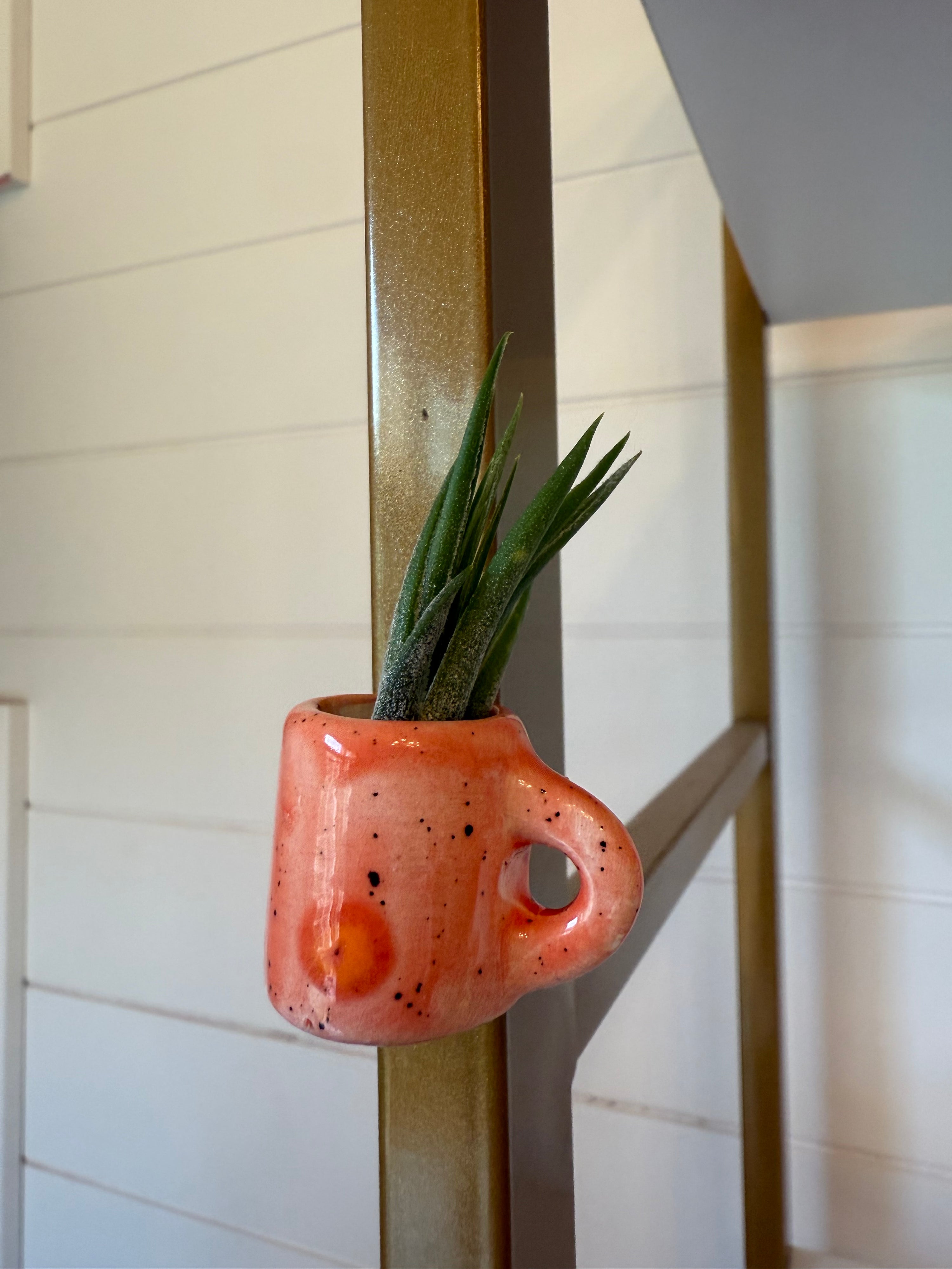 Mini Magnetic Air Plant Mug