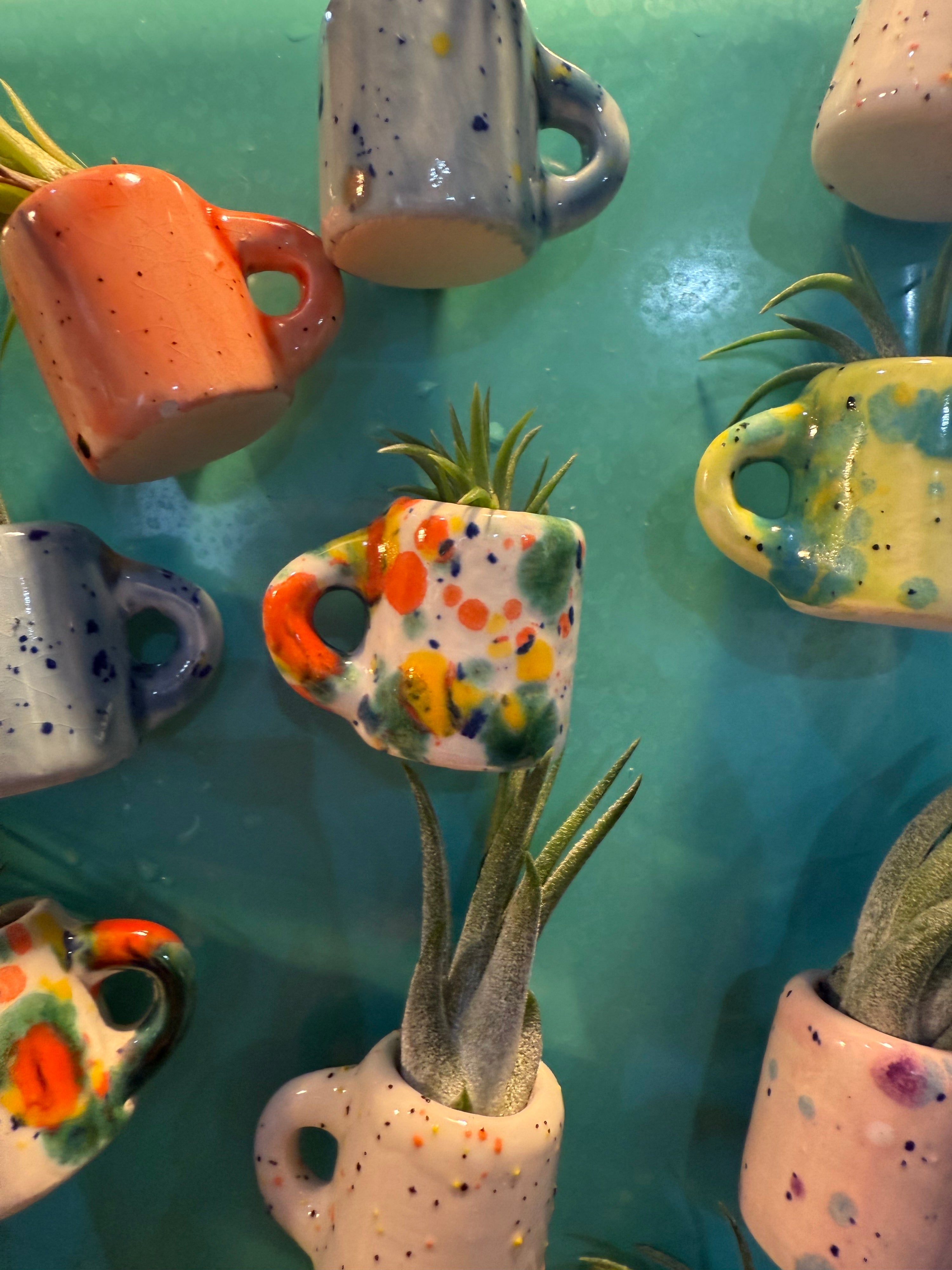 Mini Magnetic Air Plant Mug