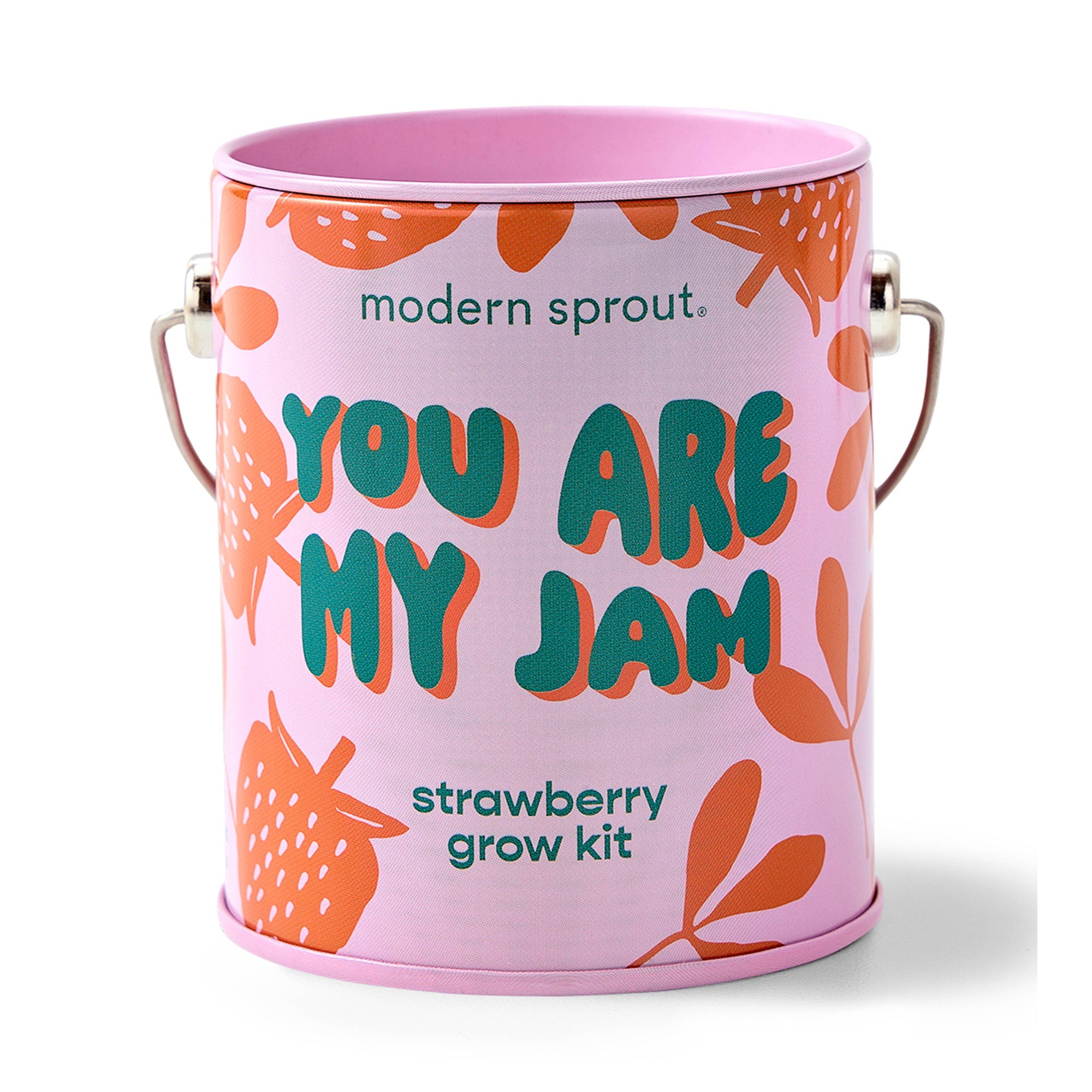 Strawberry Color Grow Kits