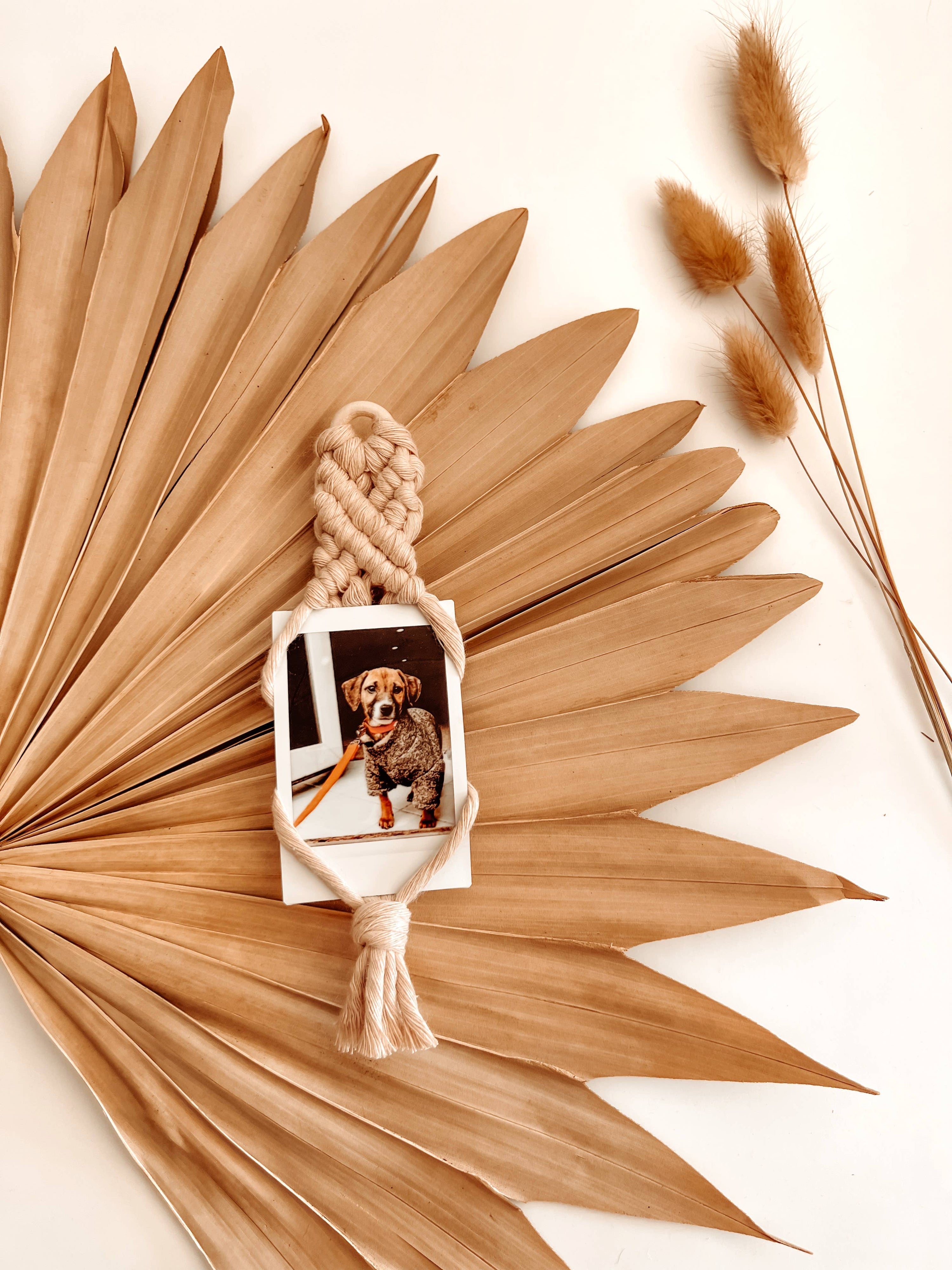 Macrame Polaroid Holder | Picture Hanging Magnet for Fridge