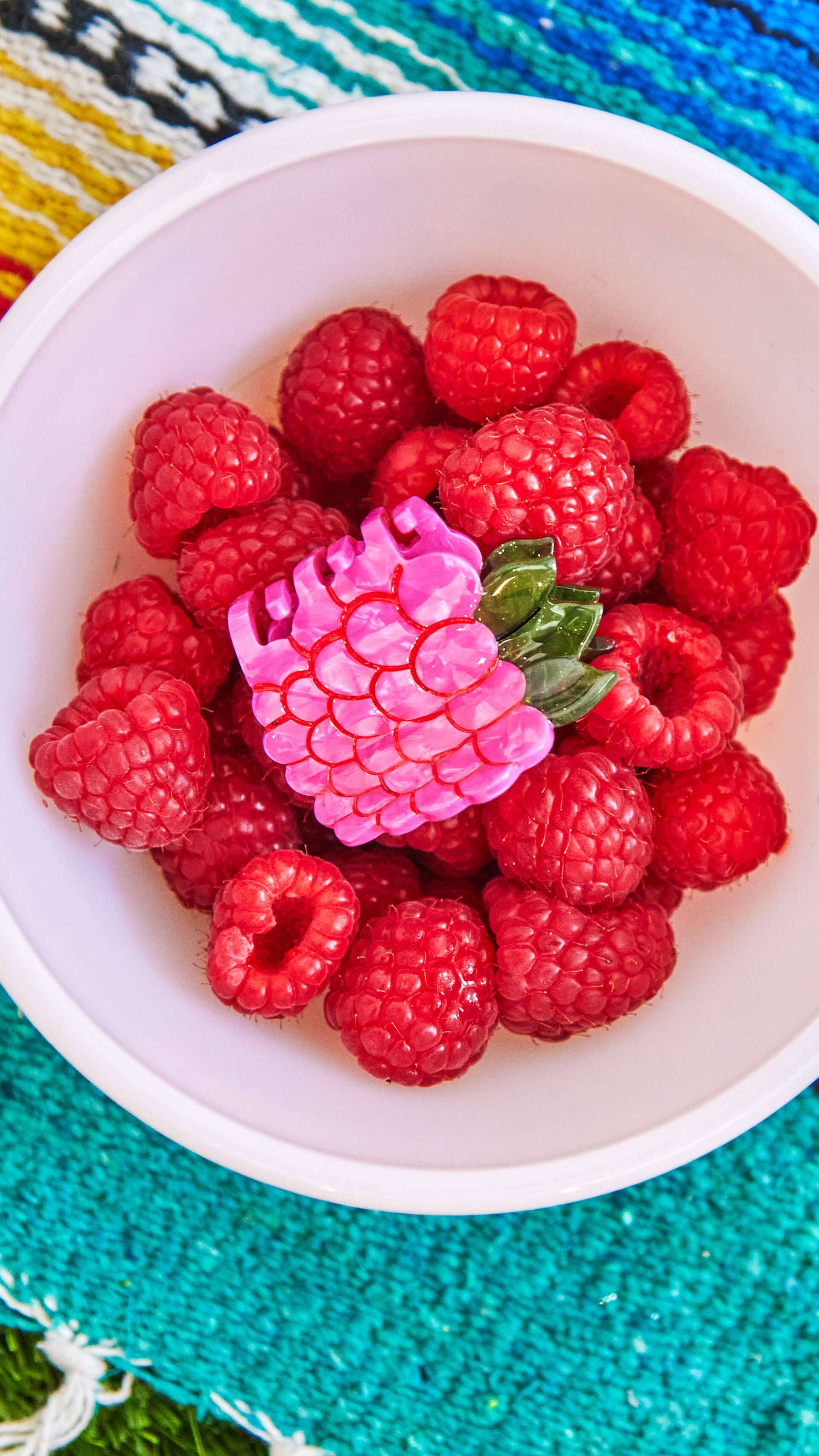 Mini Raspberry Hair Claw Clip