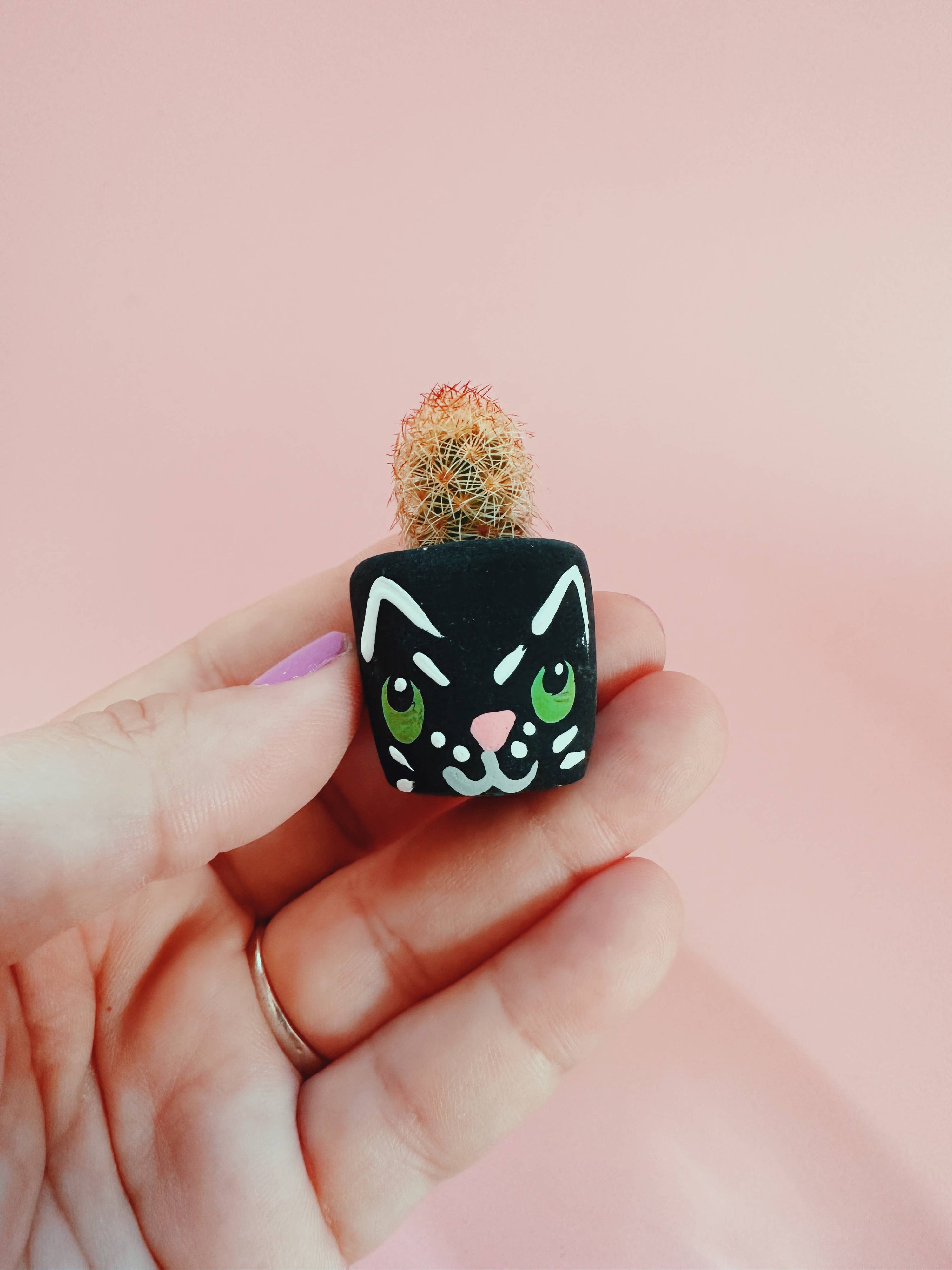 Black Cat Mini Planter with Cactus