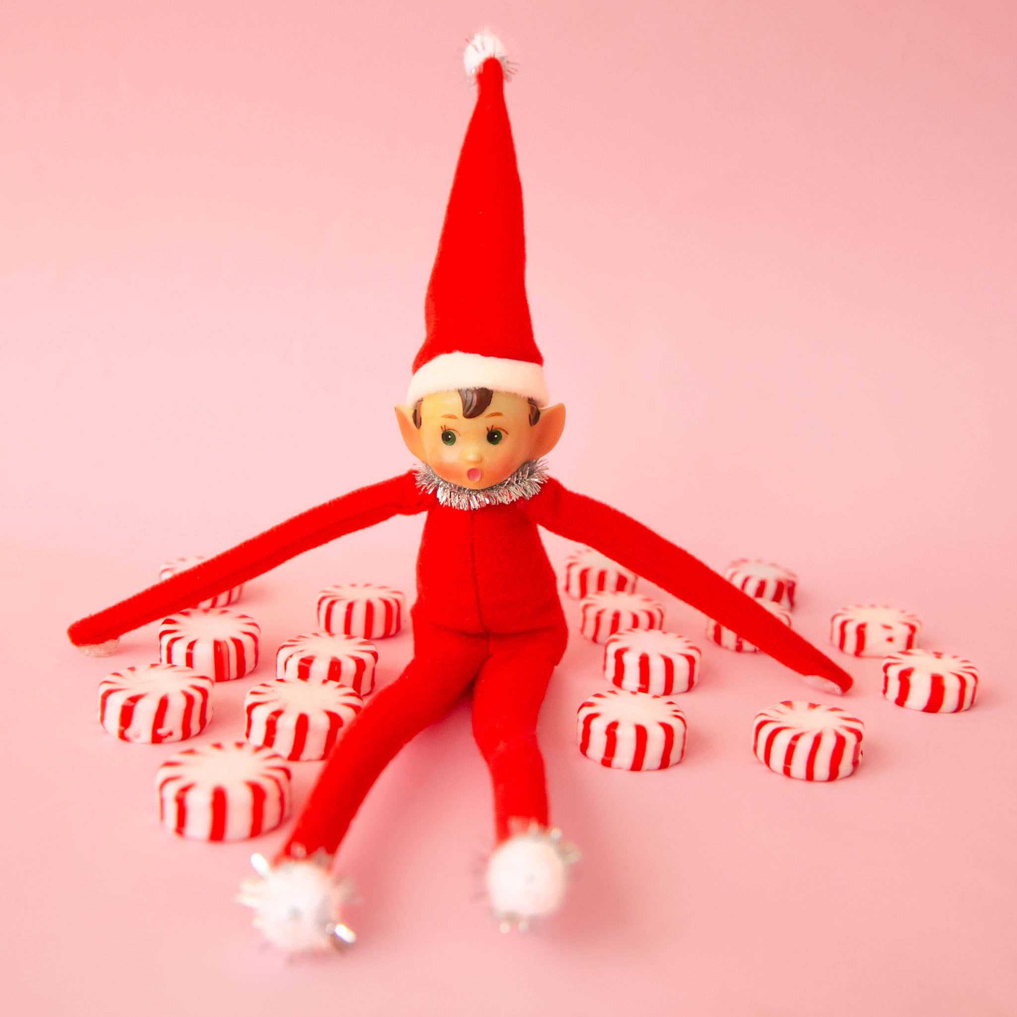 Elf Ornament | Festive Frankie