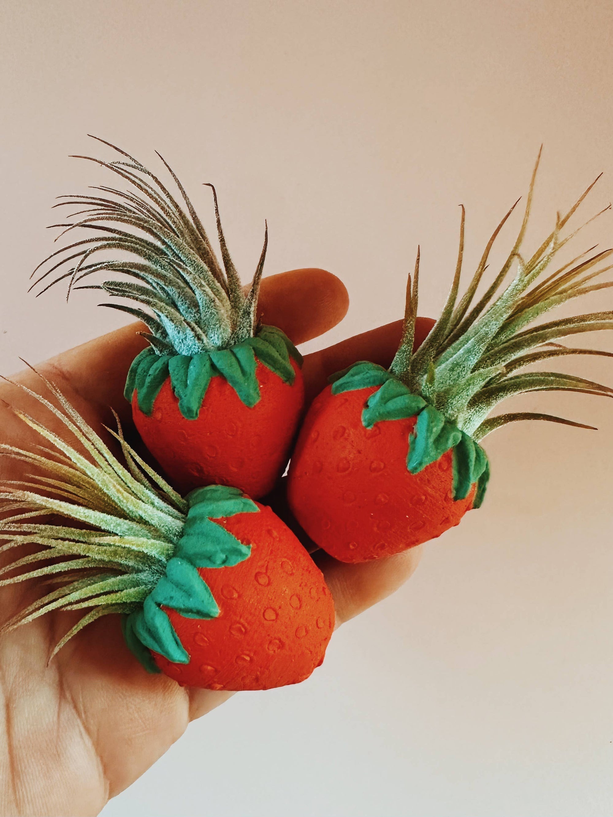 Red Strawberry Patch Mini Planter and Air Plant