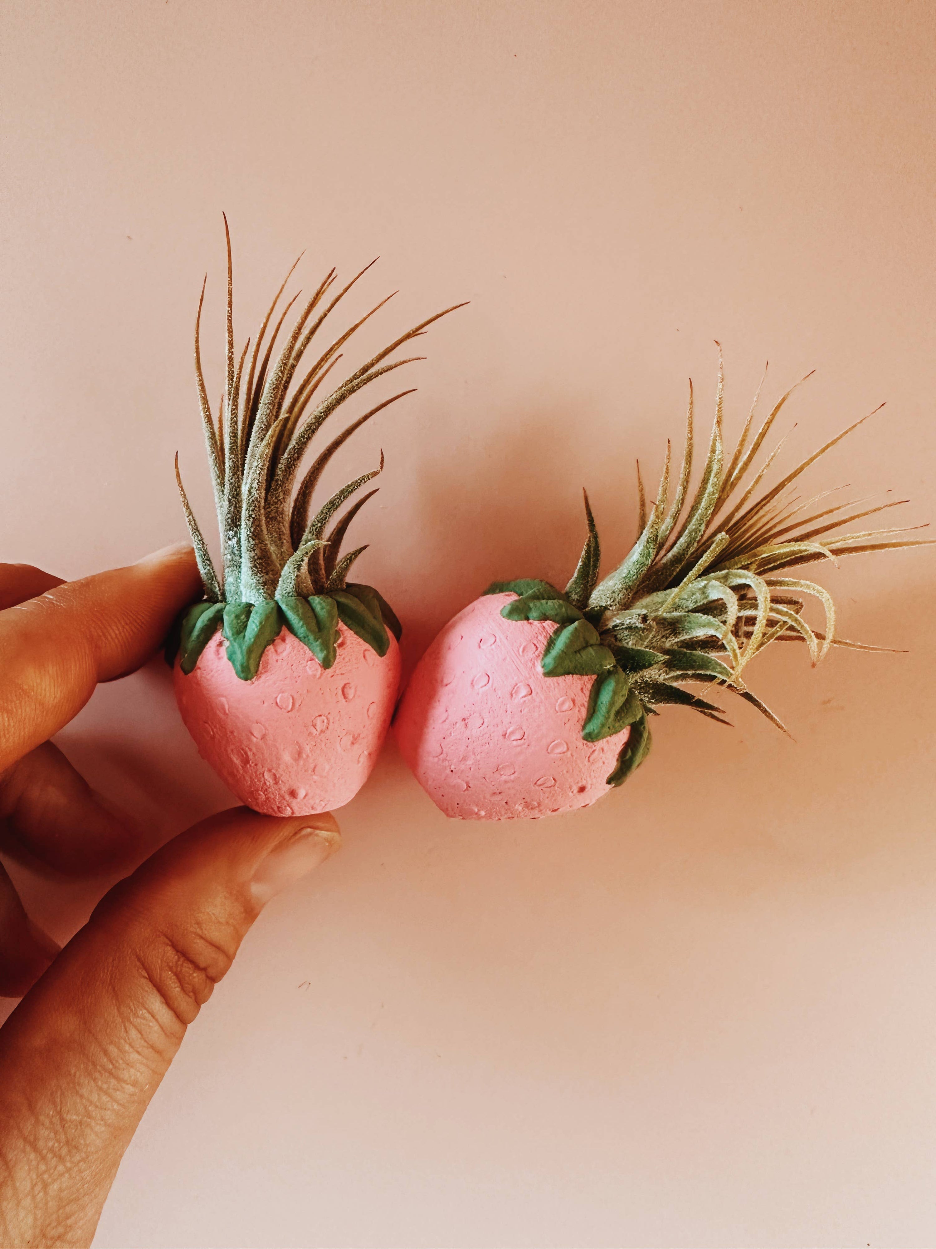Pink Strawberry Patch Mini Planter and Air Plant