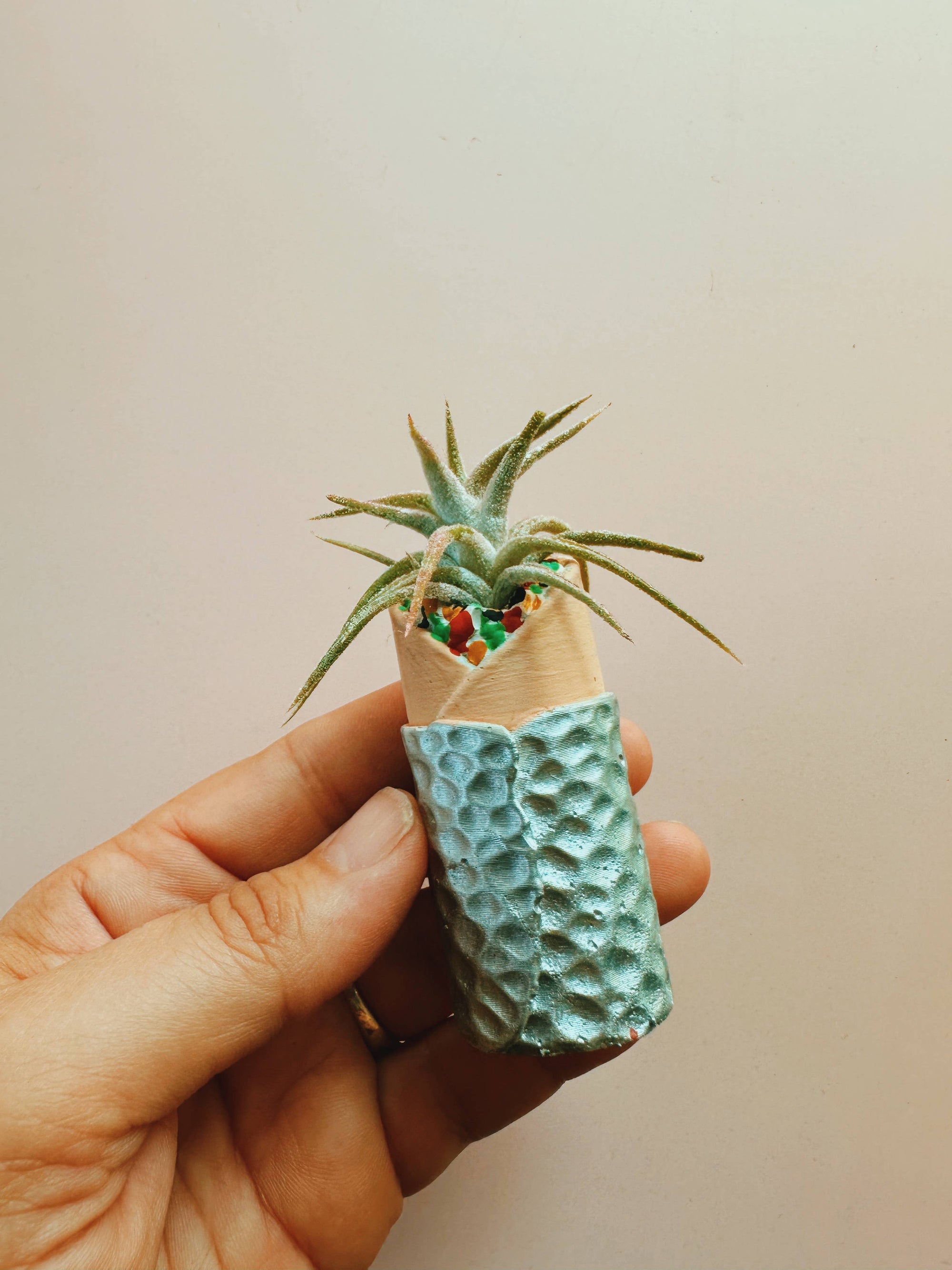 Burrito Mini Planter with Air Plant