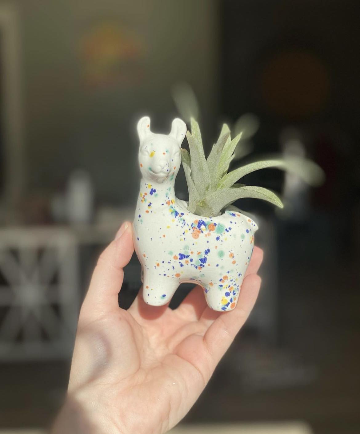 llama pot plant Air Plant Llama Friend