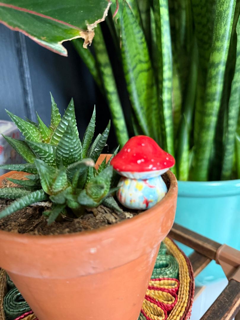 Lil Mushroom